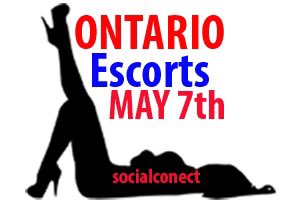 conect_social's tweet photo. Be in touch, lots Free Gifts for new escorts...
The first 10 will have Premium listing for 30 days for free... more gifts are coming https://t.co/euG2L31zAH