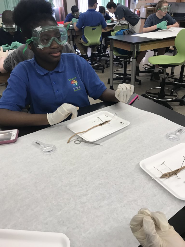MrRichT1P's tweet photo. Dissecting Worms with @BSTEMEngineer at @BSTEMhartford during STEM Plus class!! @STEMEdCT @PathwaysAcad @CTScienceCenter https://t.co/NDTaThUj6t