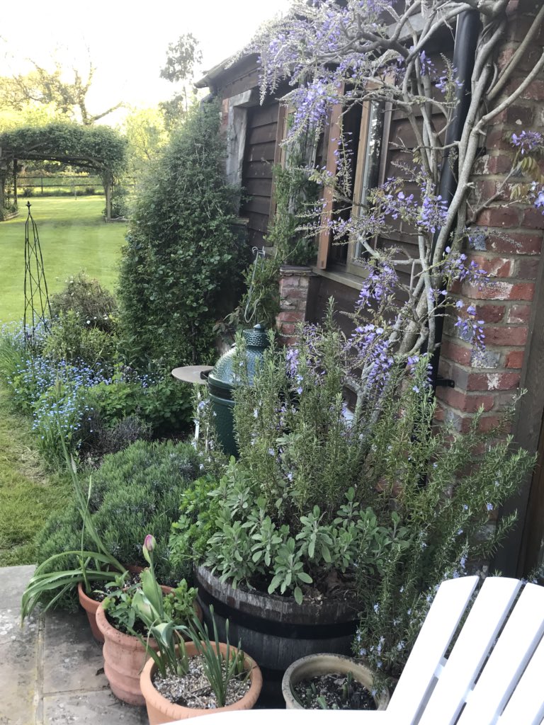 sarahjpearse's tweet photo. Looking forward to weekend gardening, but missing #gardenersworld  because of #bbcsnooker #shoutyhalfhour https://t.co/b1GN3qds9u