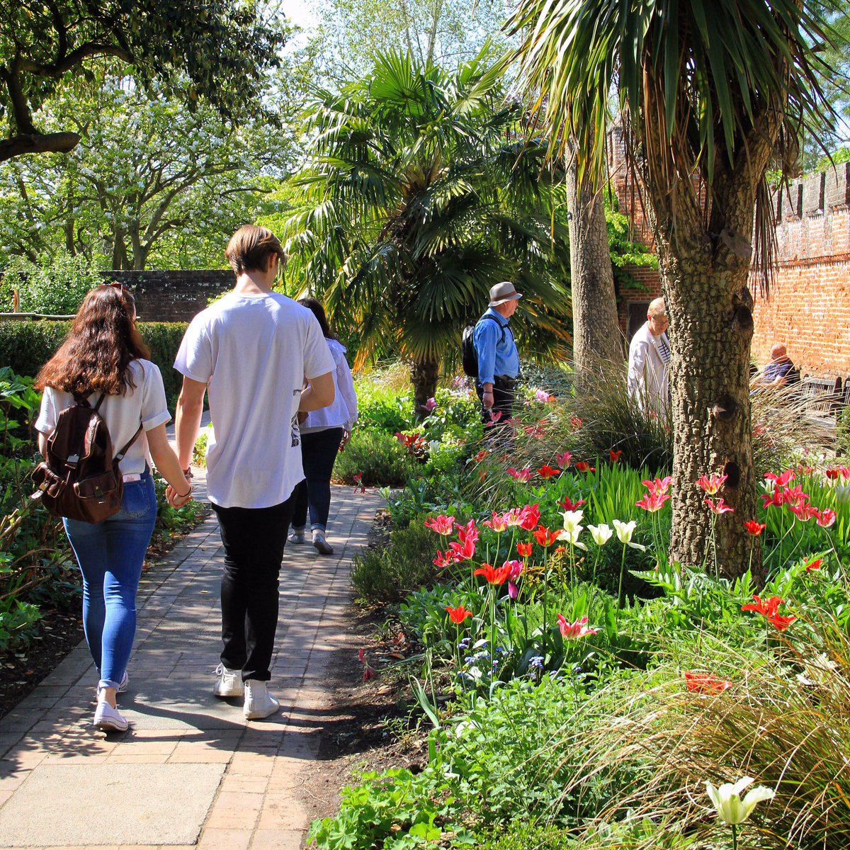 Love Chichester tweet media