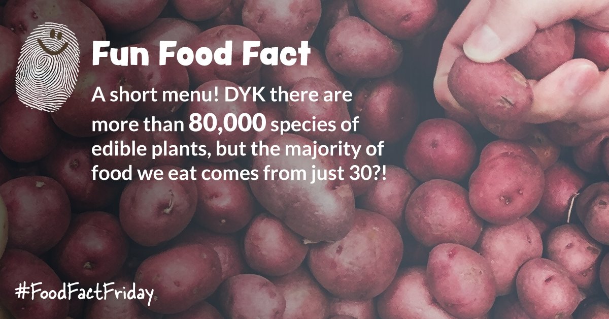 littlegrnthumbs's tweet photo. A short menu! #DidYouKnow there are more than 80,000 species of edible plants, but the majority of food we eat comes from just 30 plants!? #FoodFactFriday 🍃🍅 https://t.co/fuGrONMBy0
