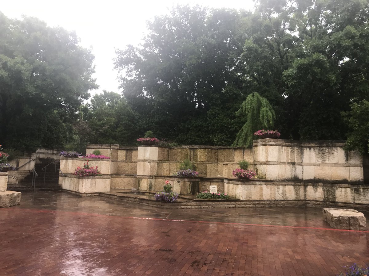 boydblooms's tweet photo. What a great day at the Dallas Arboretum, even in the pouring rain! https://t.co/YFfLMF3WIV