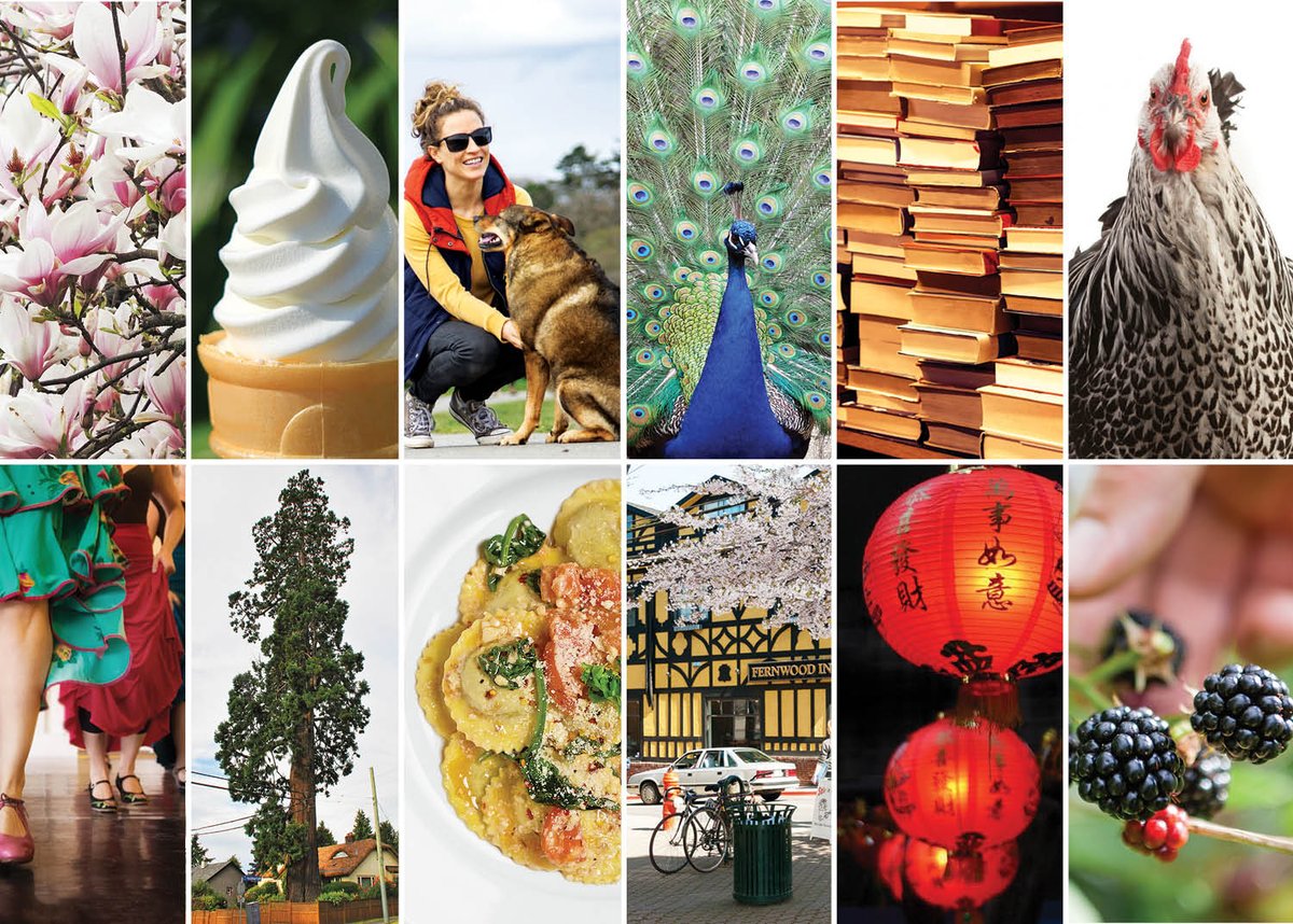 YAMmagazine's tweet photo. There's a lot to love about #yyj. Here are 50 reasons to love the city we call home: https://t.co/TVJHLHfgzN https://t.co/TF7d5UjztU