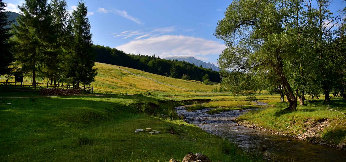 CountrysideDest's tweet photo. #Peaceful , well-hidden place in the Romanian #forest ideal for lovers of #nature or for those looking for privacy away from the rush of the city. A Hunter's Estate your secret escape. https://t.co/xRbz1lXwEX #getaway #cottage #Romania https://t.co/ie8IFsGGbI