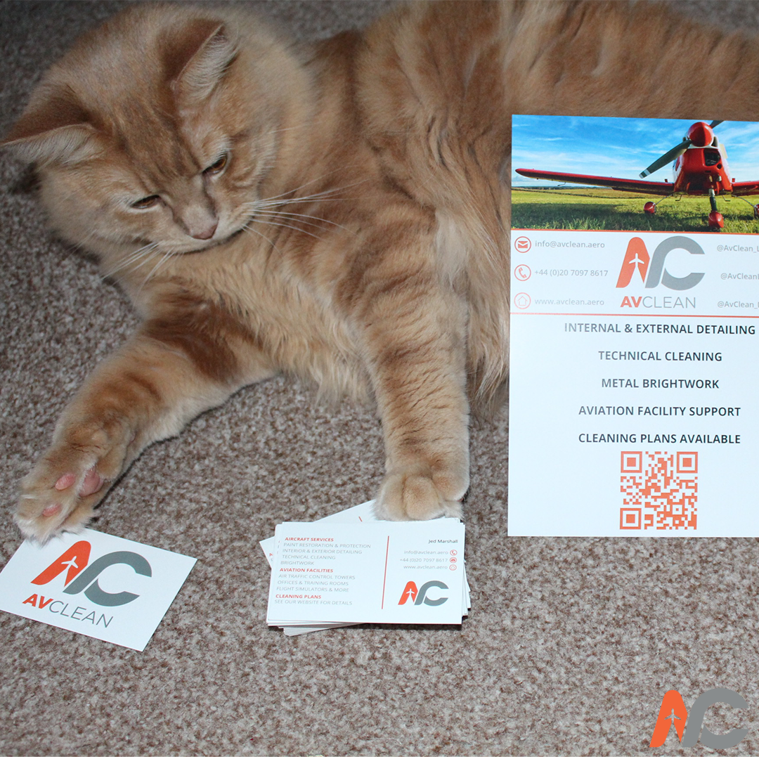 AvClean_Limited's tweet photo. Thank You @HelloprintUK for our batch of Business Cards &amp; Flyers! Office Cat Approved! 

https://t.co/bIUf9mptPm

#cat #avclean #aviation #aircraft #helicopters #aero #aircraftcleaning #aircraftdetailing #airport #avgeek https://t.co/UCDEZlUXsn