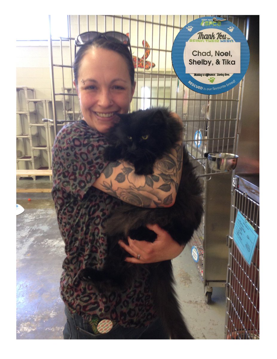 FMSPCA's tweet photo. Mouse found his special someone #ymm! Thank you to his #kennelsponsor for helping to support #animals awaiting #adoption! You can be a kennel sponsor too, just click here: https://t.co/4r52si14vr
#adopted #meow #fmspca #purr #foreverhome #opt2adopt #purrfectmatch #kittycuddle https://t.co/8gEQDmySgv