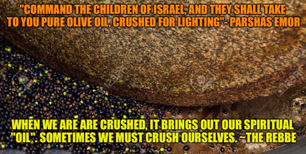 Hadar Hatorah (@firstyeshiva) on Twitter photo 