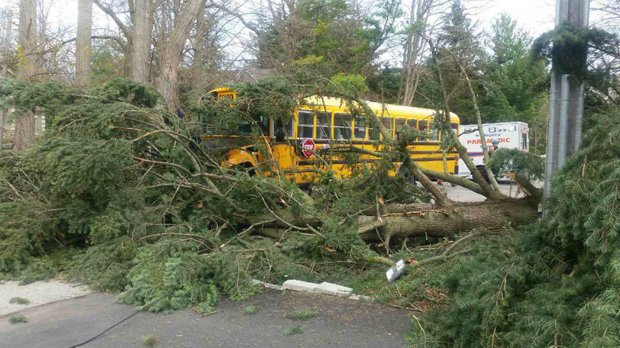 CP24's tweet photo. A tree fell perilously close to a school bus full of kids in the Clarkson area of Mississauga this afternoon. No injuries reported https://t.co/wsBooz76yJ https://t.co/72tkqpghxT