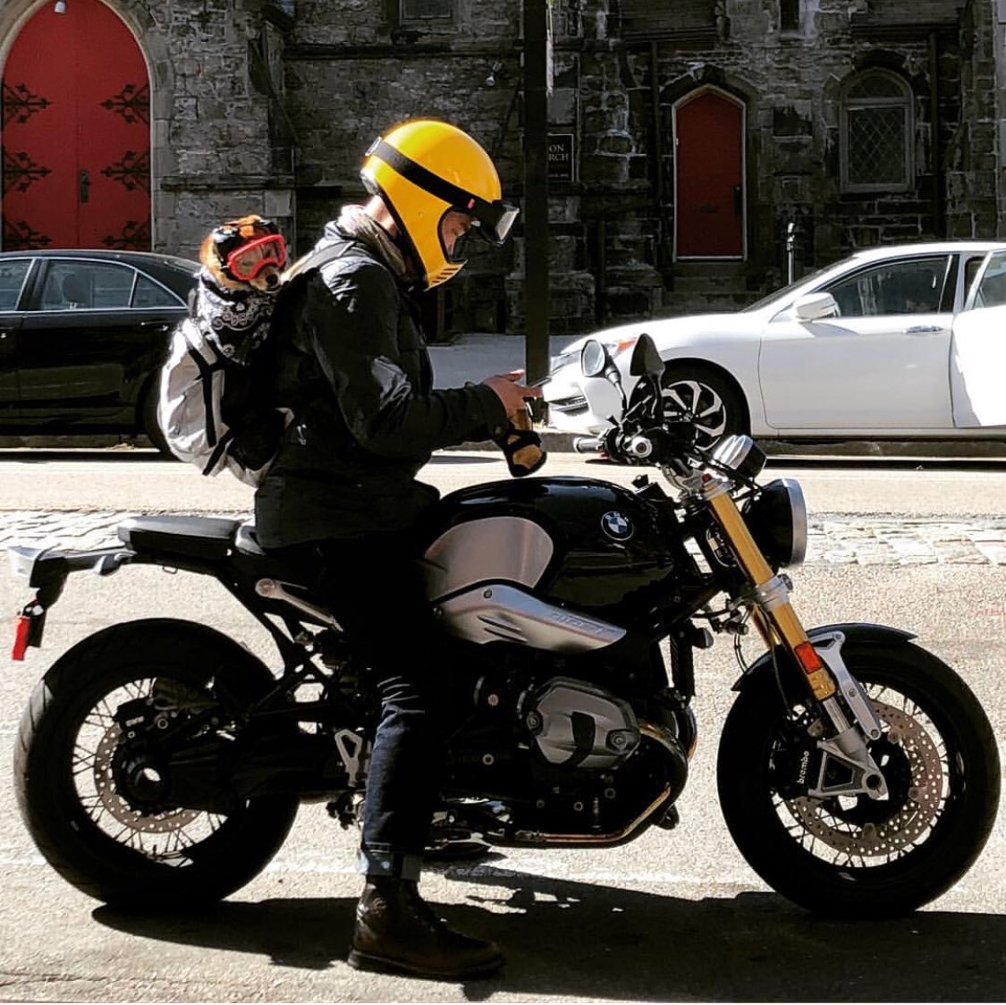 SangLad's tweet photo. Finally, a riding season is back! Last weekend ride with #Mango. My new gears are all for #Mango😜 #mangotheshibainu #bmwrnint #rexspecs #muttmuffs #k9sportsack #saturdaymorningride #shinainu #bostonma #southend https://t.co/DBc4q26gYg