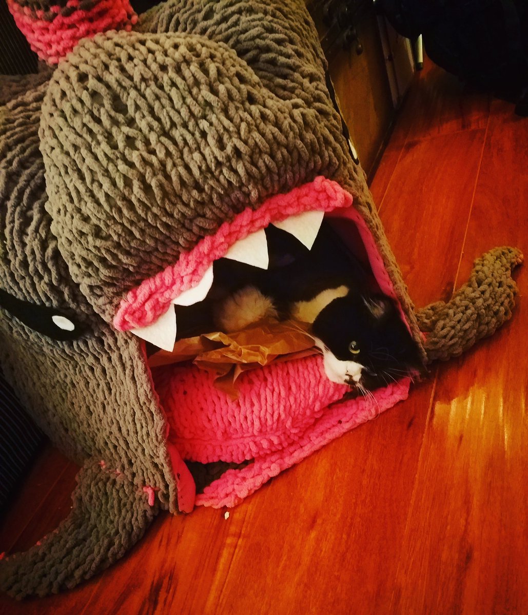 JenFiskum's tweet photo. She's playing 'Shark Attack, The Aftermath' 
#actorcat #gizmacat #sharksinsharksinsharks #forlorn #cat https://t.co/JpxIAMvGmJ