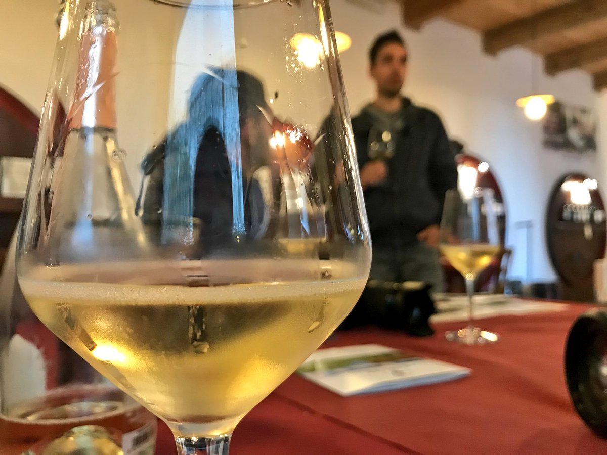 viaggiaescopri's tweet photo. Altra tappa interessante tra i #MontiAzzurri è #Colmurano dove si trovano le @CantineSaputi, azienda agricola produttrice di vini di alta qualità che raccontano il territorio attraverso gli aromi e i sapori. #winetasting obbligatoria! #Marche
#montiazzurritraterraecielo https://t.co/HFcJdU0F55