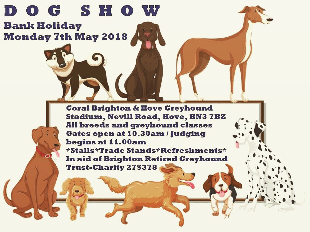 Grey_V_Train's tweet photo. Fun dog show in aid of Brighton RGT. Please join us for a really fun day! https://t.co/4nNaHOsYOE