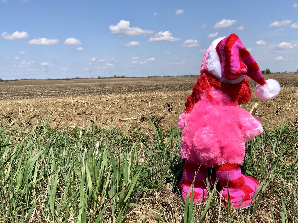 ExtremeRVing's tweet photo. #FollowFancy is excited to visit the #bigoutdoors though he’s not sure where that is. Can you help him find it? #leaveordinarybehind #ExploreOurNation #RVlife #iPhonePhotography https://t.co/kbJJvzCinw
