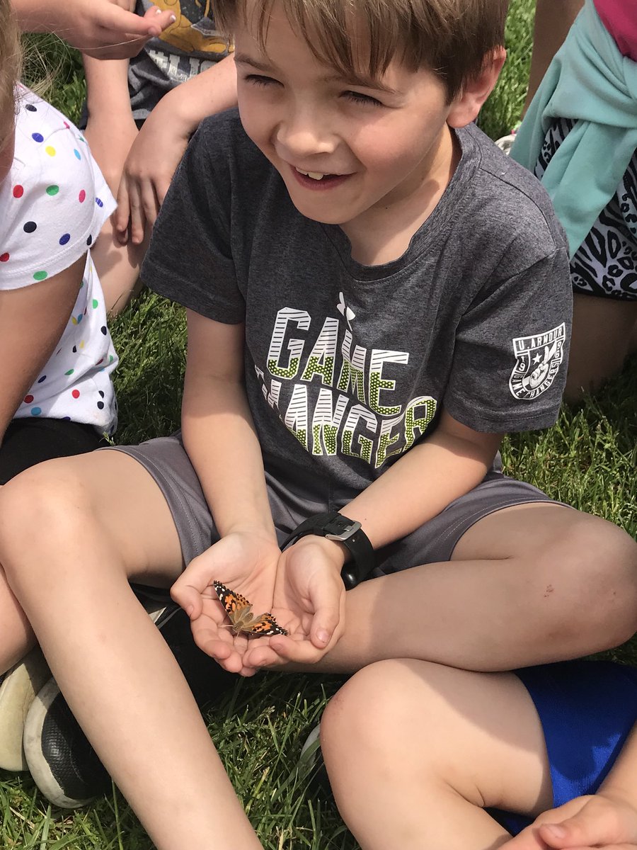 waglerLES_1st's tweet photo. Release day for our painted lady butterflies 🦋 The students were excited to introduce the butterflies to their new habitat! Always a fun day in first grade 💕 #lionpride #butterfly #firstgrade #insectlore #springstem https://t.co/UxwbYiqjvm