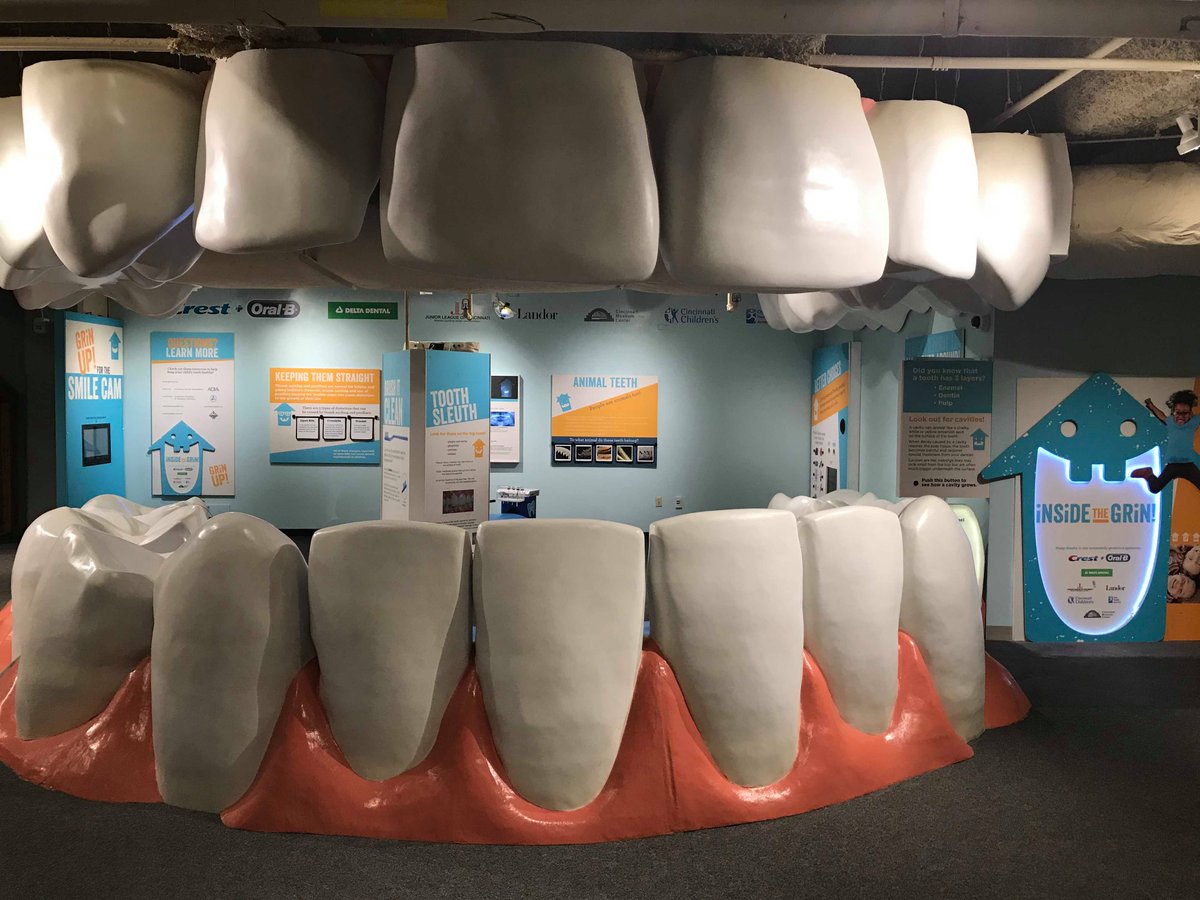 CincyMuseum's tweet photo. Thank you so much to our #InsideTheGrin friends! We appreciate the love and support along the way and for all the hard work that allows us to #GrinUp each day! Learn more about this Children's Museum exhibit that makes us SMILE ear to ear: https://t.co/l0mgH8Qv8K! @JLCincy https://t.co/GjqAvuooKR
