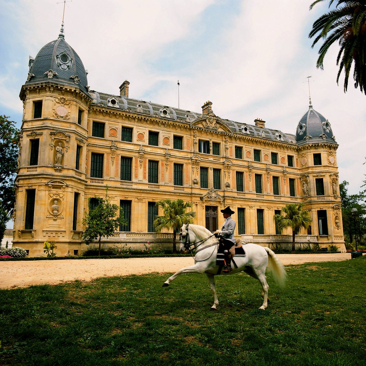 EspanaEnLatam's tweet image. Feria del Caballo 2018 en #Jerez de la Frontera. 
Since ancient times, alongside #Sherry and #Flamenco, the #horse has been one of the strongest symbols of Jerez...
buff.ly/2jtogur
@TurismoJerez @realescuela @ciudadjerez 
 #FeriaJerez2018 #Andalucia #VisitSpain