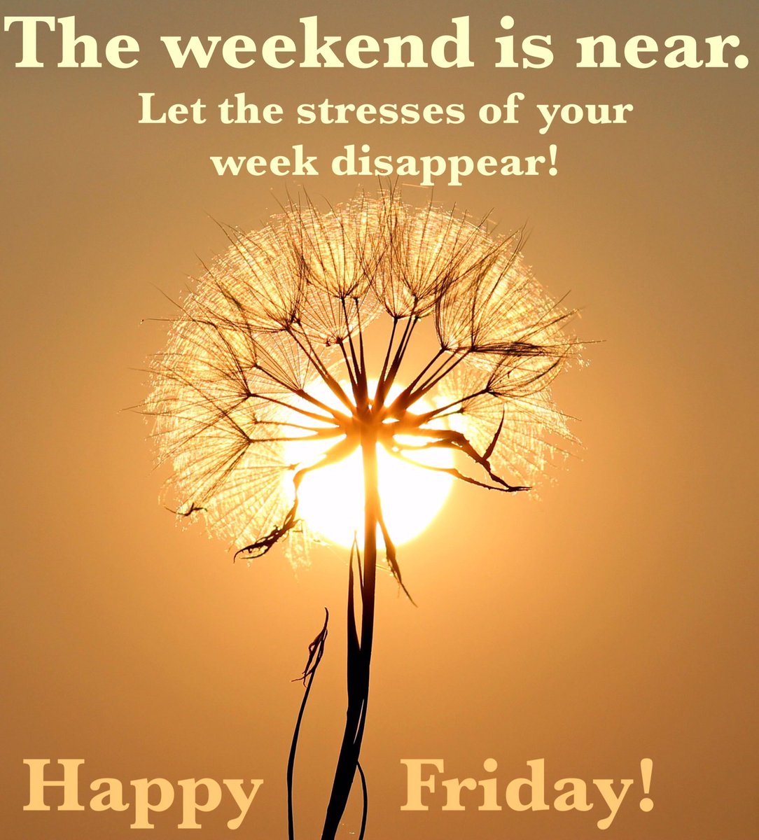 NextPromotions's tweet image. Happy Friday all! #Fridayvibes #weekendmotivation #letthestressmeltaway