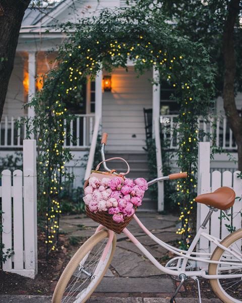 mohamed (@mo76438898) on Twitter photo 