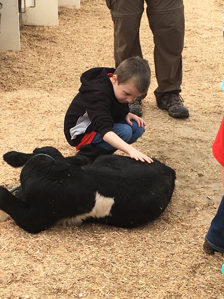 Kinder_Quick's tweet photo. It was an amazing day at @kuehnertdairyfarm! We had quality time with the calves, milked a cow, watched the automated milking process and said hi to our favorite 7th generation family member. 😉A fabulous family operation start to finish! #supportlocalbusiness @AESPanthers https://t.co/QXVFHqwpvJ
