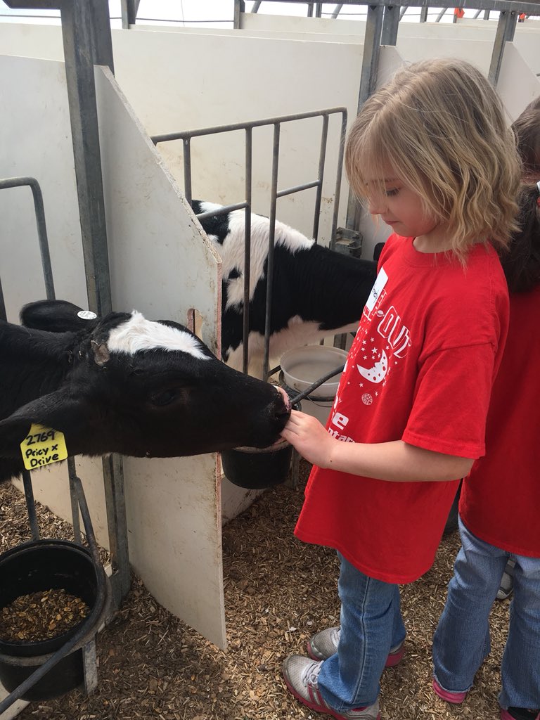 Kinder_Quick's tweet photo. It was an amazing day at @kuehnertdairyfarm! We had quality time with the calves, milked a cow, watched the automated milking process and said hi to our favorite 7th generation family member. 😉A fabulous family operation start to finish! #supportlocalbusiness @AESPanthers https://t.co/QXVFHqwpvJ