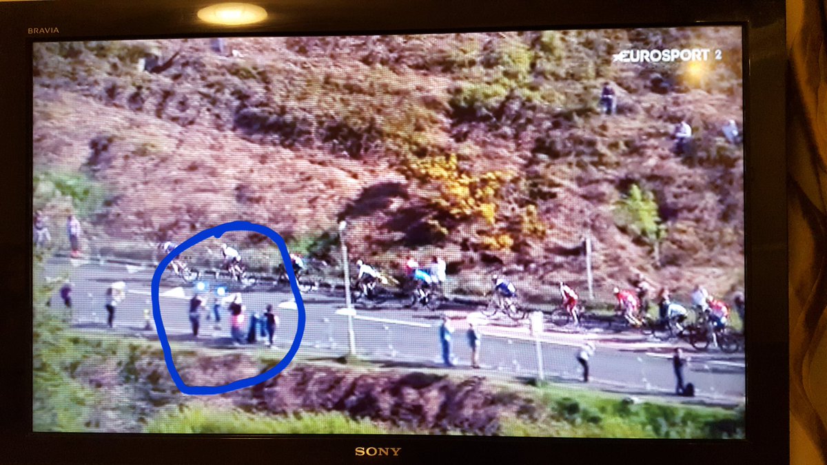 Stephen98Murray's tweet photo. We even got on the Tv highlights! #TDY #CowandCalf https://t.co/aRdm1g0F8k