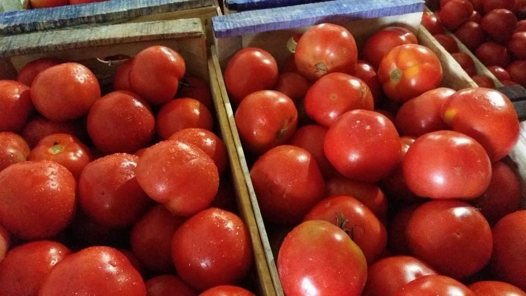 Basfe_SantaFe's tweet photo. 🍅 Hoy rescatamos 900 kilos de tomates 🍅 ¡Ni la lluvia nos para! 💪 Agradecemos a Pedro Felice, dueño de Vivencias, una nueva empresa que comenzó a operar en el Mercado de Abastecedores y Productores de Santa Fe y ya se encuentra trabajando con el #Basfe. #TodosSomosRescatistas https://t.co/JIcvtGMxvO