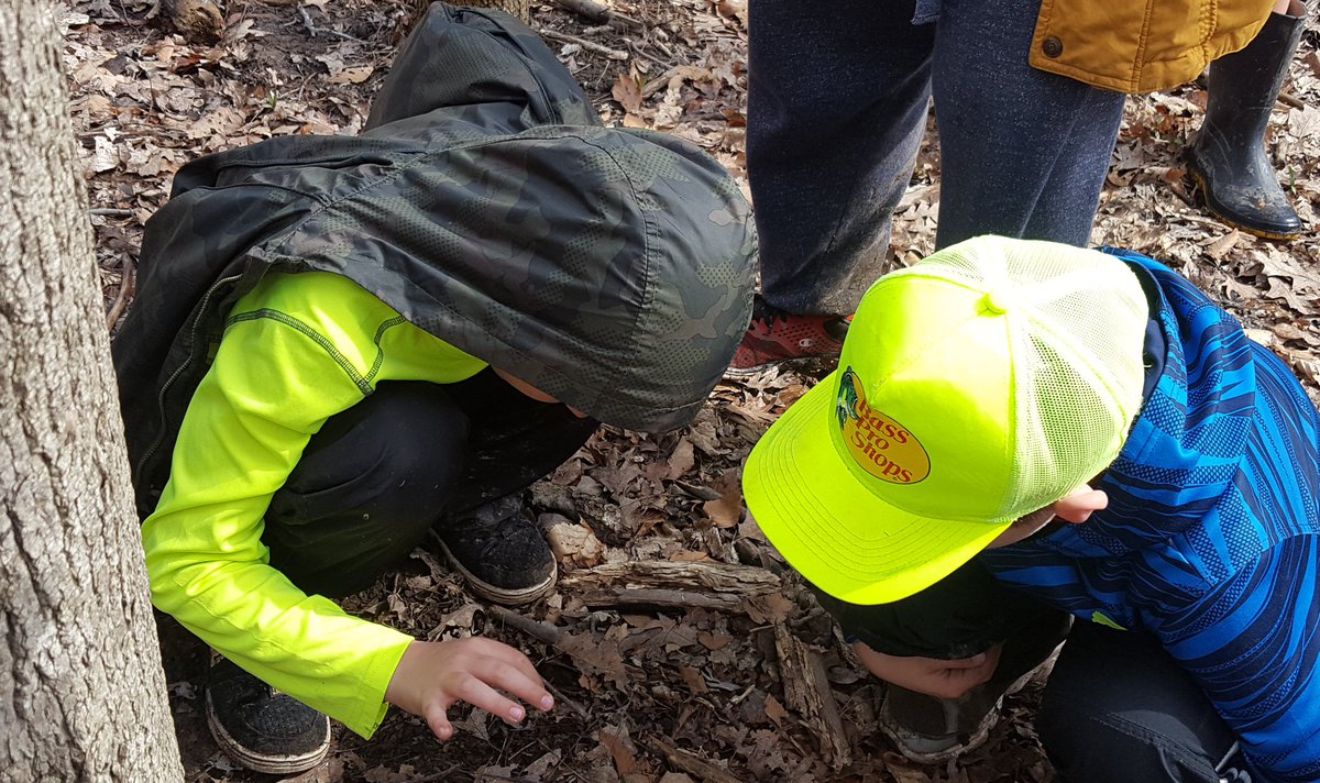 A snail, a snake, a trillium, and a toad! Just some of the beautiful things we saw today. <a href="/GrapeviewSchool/">Grapeview</a>