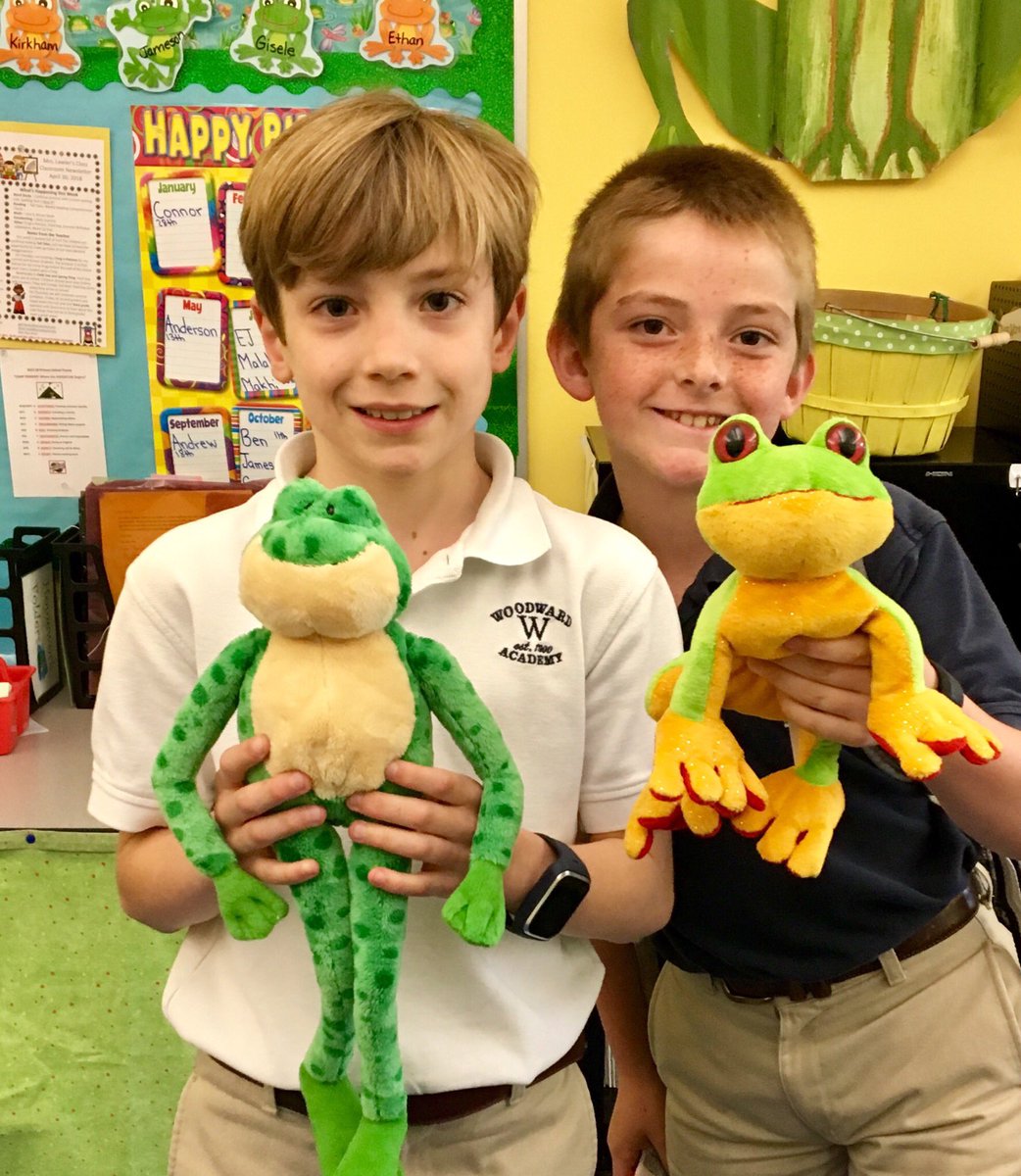 Frogadoodle1's tweet photo. What to do when you are retiring and have so many frogs? Host a frog-a-palooza and invite current and former students to claim a froggie friend! #waprimary https://t.co/4OjkJgpou8