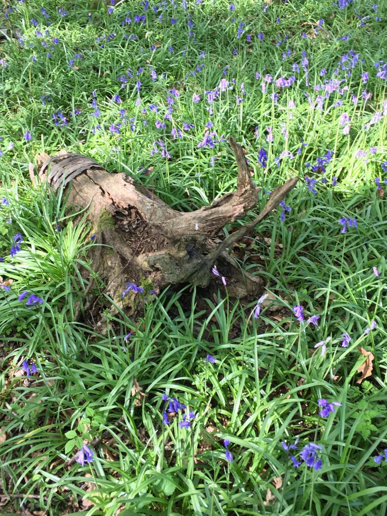 Nature at its best to enjoy this weekend.