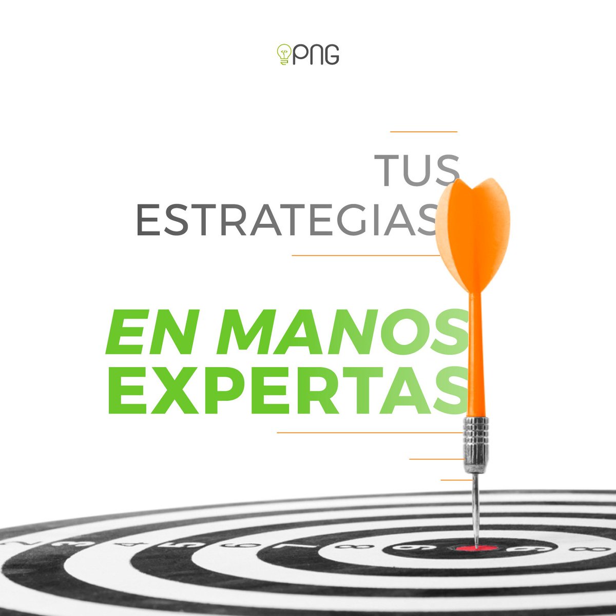 PNGWEB Solutions tweet media
