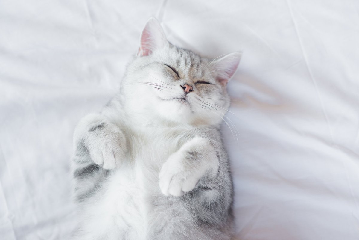 SureDeodorant's tweet photo. Weekend goals. https://t.co/Ay1sc17gF4