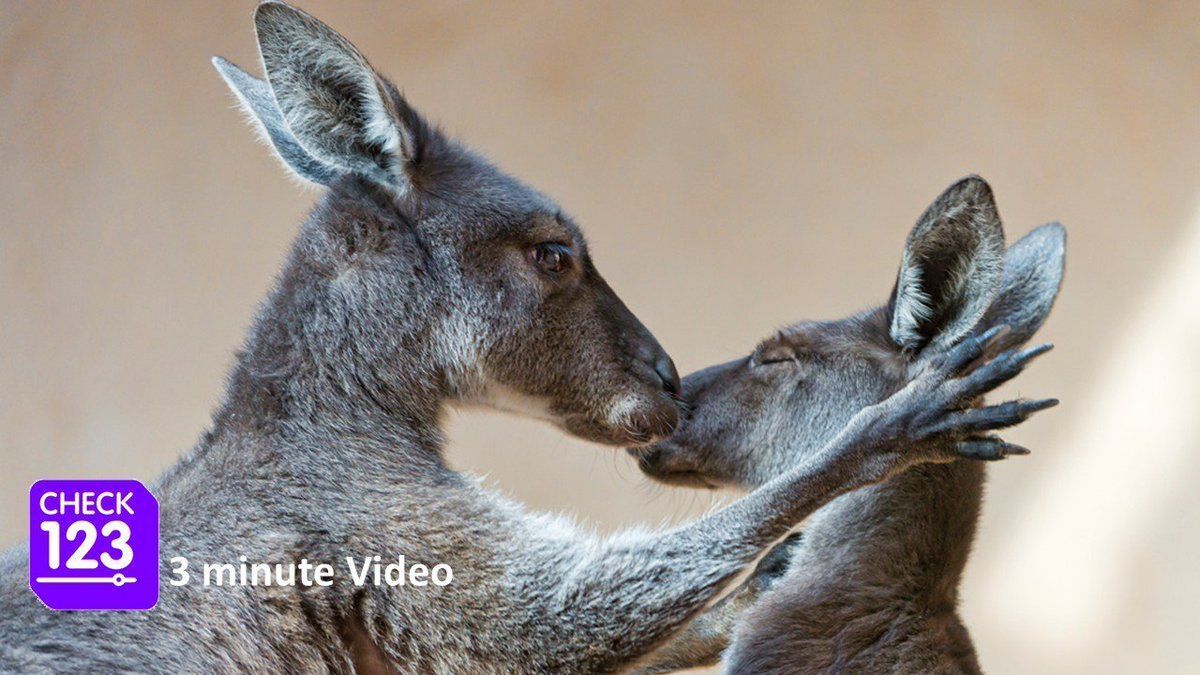 Check123 NATURE tweet media