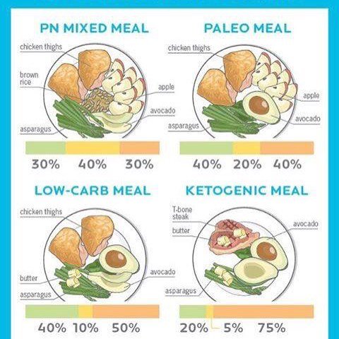 KetoDietLiving's tweet photo. Great image showing the differences between keto, paleo and low carb. #keto #ketodietliving https://t.co/TfsC5Eq2qV 📷: @ketodietliving https://t.co/oE4ItQHKS3