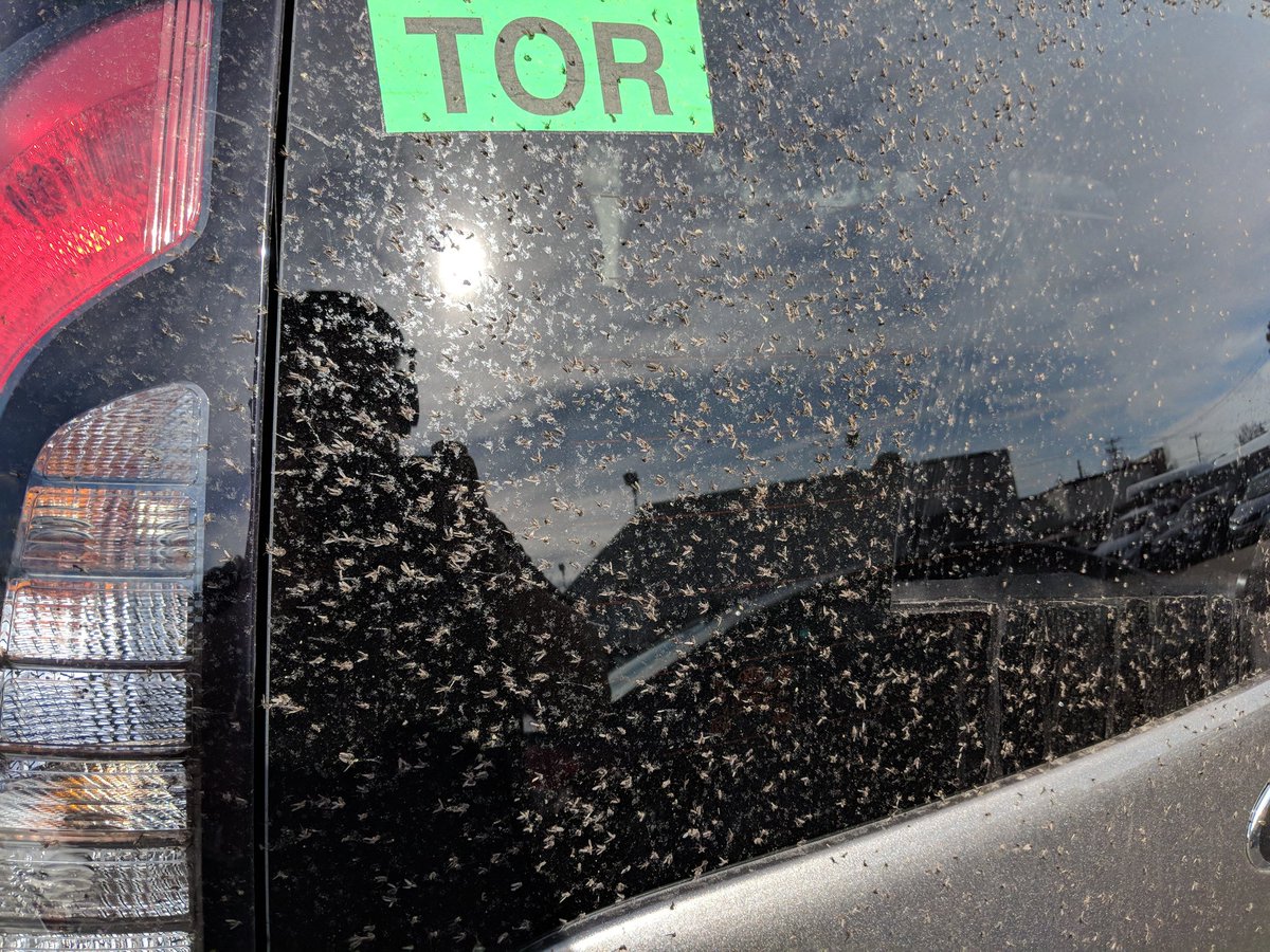 Kia of St. Catharines (CatharinesKia) Twitter