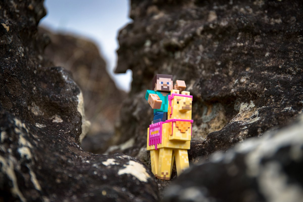 Jazwares's tweet photo. Our @minecraft Steve with Llama Set is available today! Includes Steve, Llama, Carpet, Saddle, Lead and Red Sand Block. https://t.co/8UPvupeG36 #minecraft #minecrafttoys #toys #funtoys #funtoy #newtoys #newtoy #minecraftfigures #minecraftactionfigures https://t.co/WJkAJAHtA5
