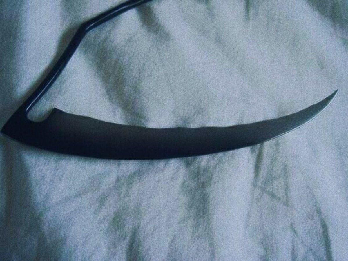 cronus_titan's tweet photo. @Gaea12345678 thanks again for the scythe I used to castrate dad 👌💗 https://t.co/NMRoafewP5