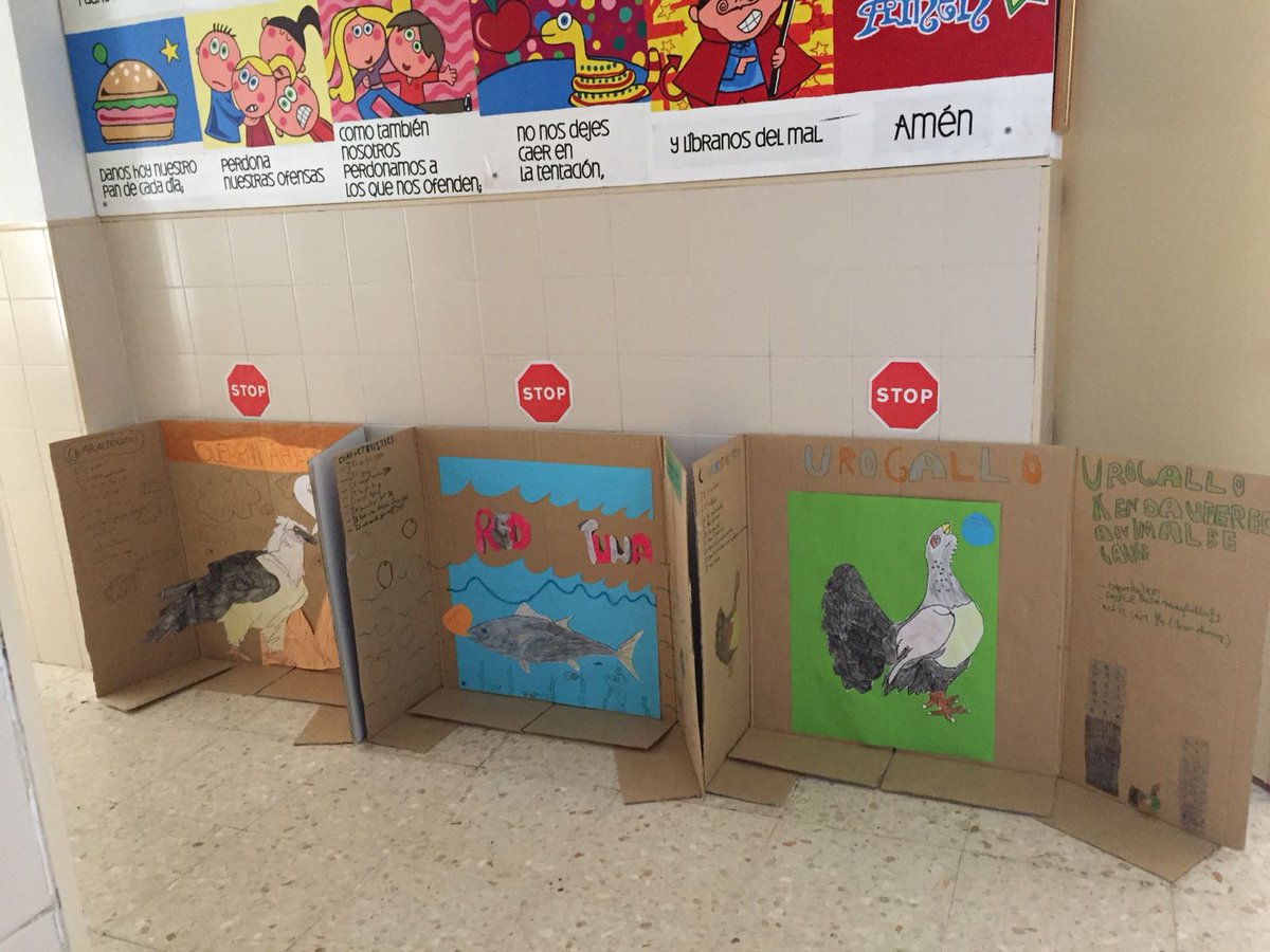 SAFAAlcala's tweet image. Project about #EndangeredAnimals #FinalTask #ProyectoÍtaca #SobreTodoGRACIAS #YoConSAFA @fundacionsafa