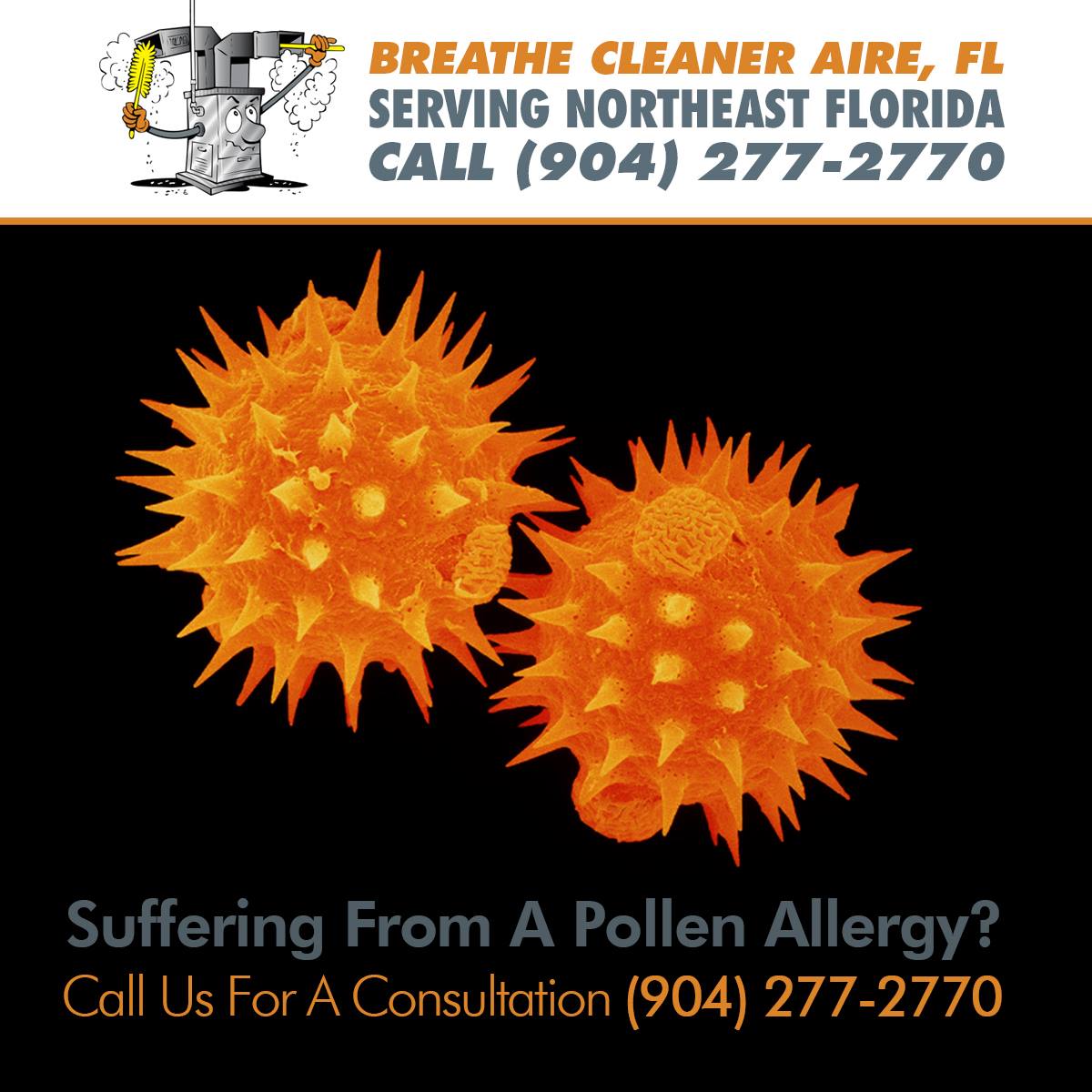 CleanerAireFL's tweet photo. Pollen gets everywhere! If you have #pollen on your car or clothes then you will be bringing pollen into the house when you return home. If you are in #NortheastFlorida then call #BreatheCleanerAireFL for a FREE consultation on (904) 277-2770. https://t.co/ssIvXlUJsC