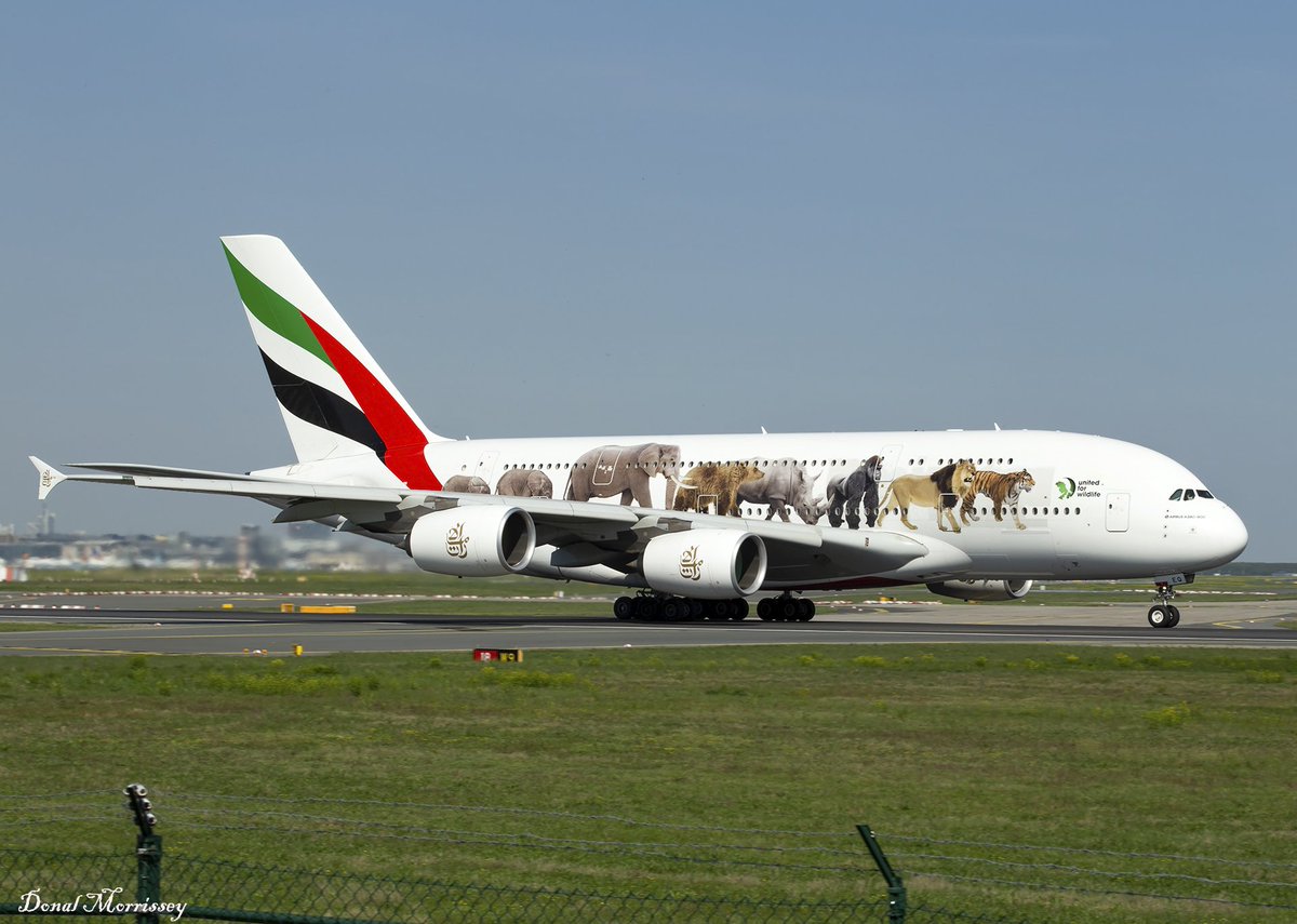 Departing @Airport_FRA 'United for Wildlife' A380 of @emirates #avgeek #aviation #a380 #emirates #unitedforwildlife