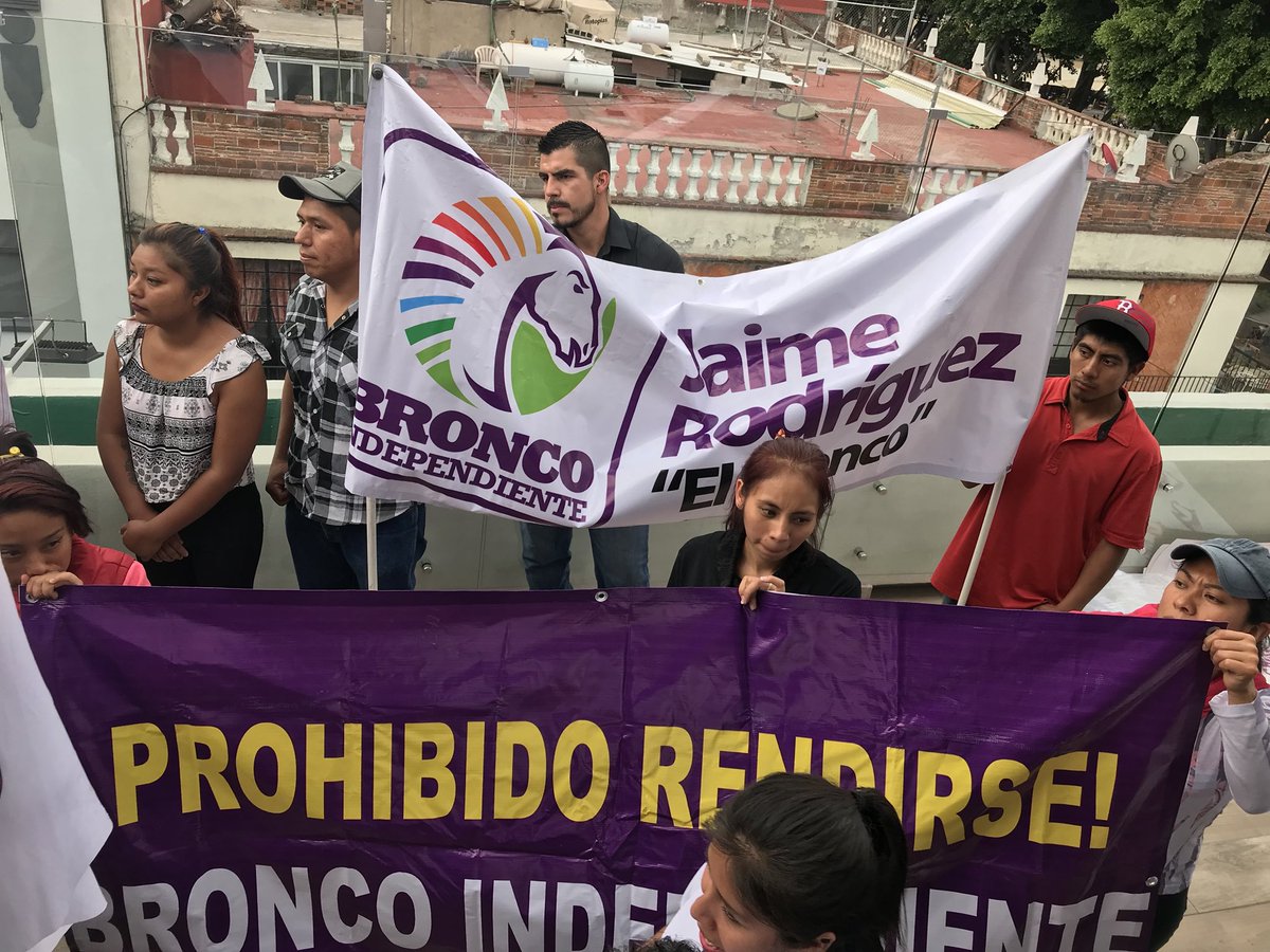 PueblaBronca's tweet photo. ¡#PueblaBronca CON TODO EL APOYO AL INGE @JaimeRdzNL! 

🐎🐎🐎🐎💜💜💜💜 https://t.co/0UUJQIOECS