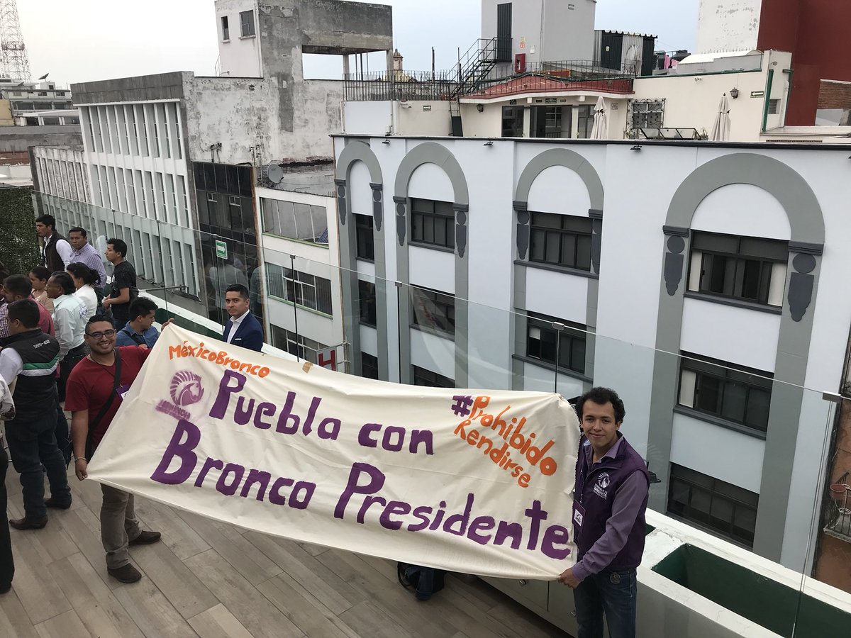 PueblaBronca's tweet photo. ¡#PueblaBronca CON TODO EL APOYO AL INGE @JaimeRdzNL! 

🐎🐎🐎🐎💜💜💜💜 https://t.co/0UUJQIOECS