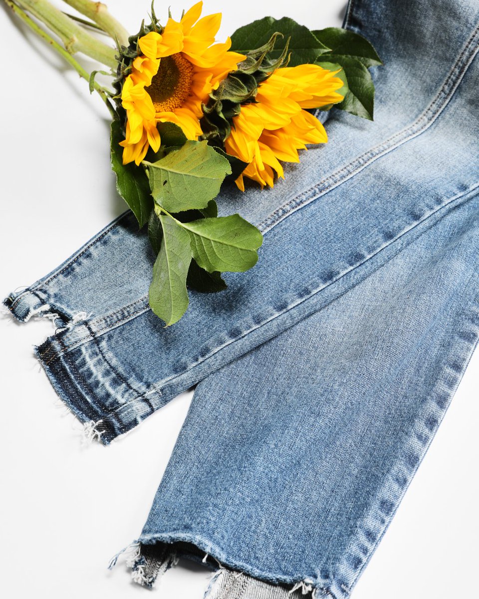 silverjeansco's tweet photo. Aiko fans, an all-new style just dropped, and it’s good (it’s available online now before anywhere else). #SilverJeans #shopfirst #allnew
SHOP IT FIRST: https://t.co/cU0xkQTzCV https://t.co/JNeeOG8FLz