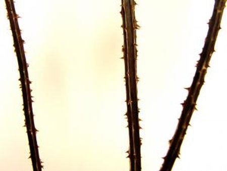 tomjames_95's tweet image. #PythonNetworking, #PythonHacking Anger, frustration over poor telecom services goo.gl/1u4it9