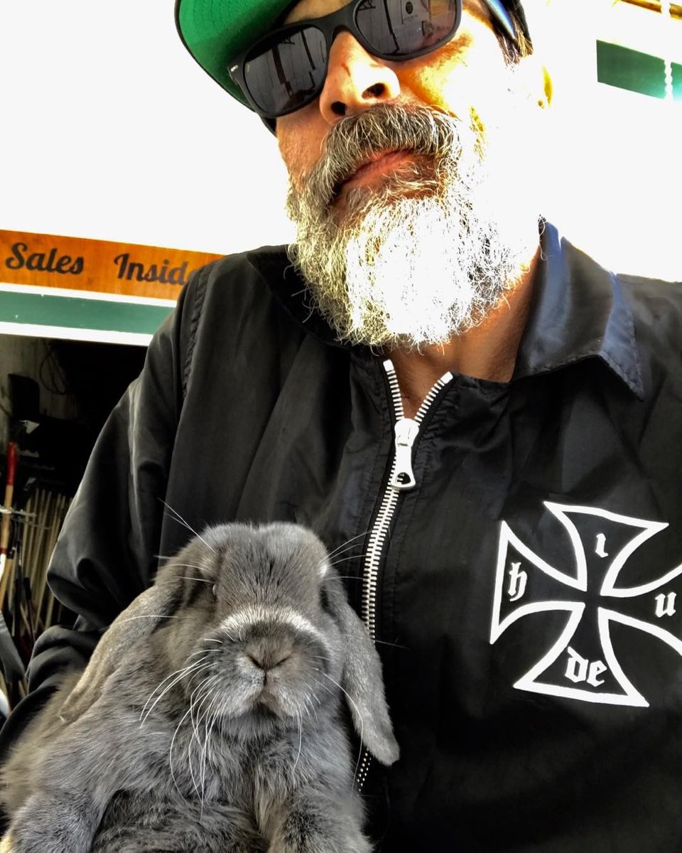 Hanny_Nanny's tweet photo. 📷 @JDMorgan: Mr Hops!! Xojdgus&hops ... Oh cmon!! Hackett Farm Supply has some bunnies!! I may be bringing this dude home!! Xojd. UPDATE... Welcome to Mischief Farm Mr Hops! We real excited to have ya! https://t.co/CJvwV1MKkt
#JeffreyDeanMorgan #MrHops #TWDFamily https://t.co/92YQFQp7x1