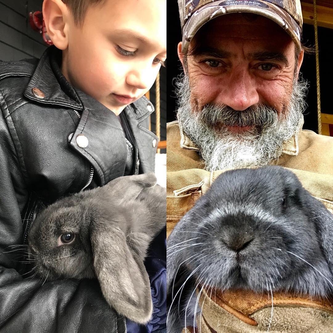 Hanny_Nanny's tweet photo. 📷 @JDMorgan: Mr Hops!! Xojdgus&hops ... Oh cmon!! Hackett Farm Supply has some bunnies!! I may be bringing this dude home!! Xojd. UPDATE... Welcome to Mischief Farm Mr Hops! We real excited to have ya! https://t.co/CJvwV1MKkt
#JeffreyDeanMorgan #MrHops #TWDFamily https://t.co/92YQFQp7x1