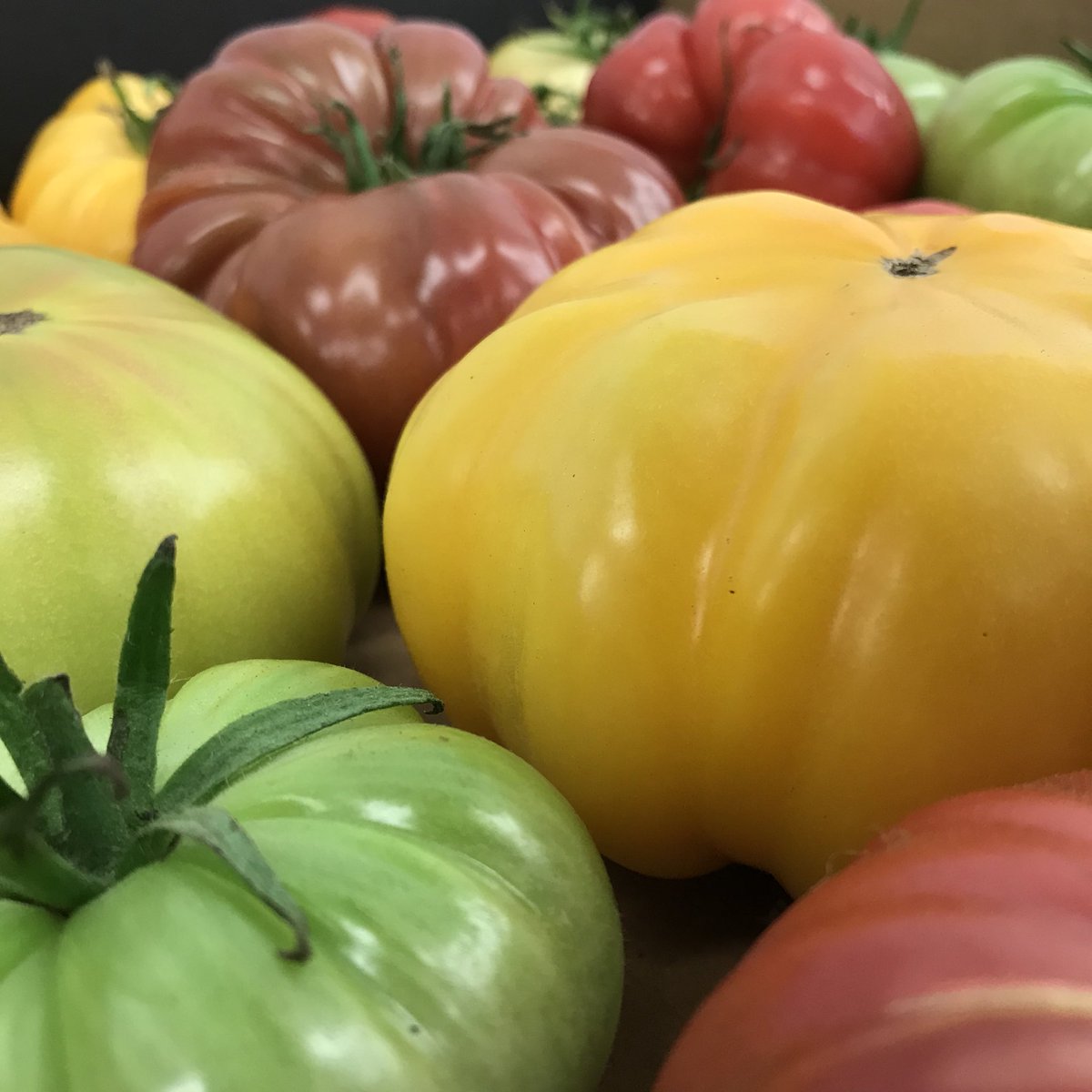 DoubleStarFarms's tweet photo. Sneak peak at what we will be having at Market tomorrow!
@tgfarmersmarket 
.
.
.
.
#farmersmarket #local #springgoodness #heirloomtomatoes #asparagus #rhubarb #radishes #greens #supportyourlocalfarmer #farmtotable #stl https://t.co/uynaBxuWW4