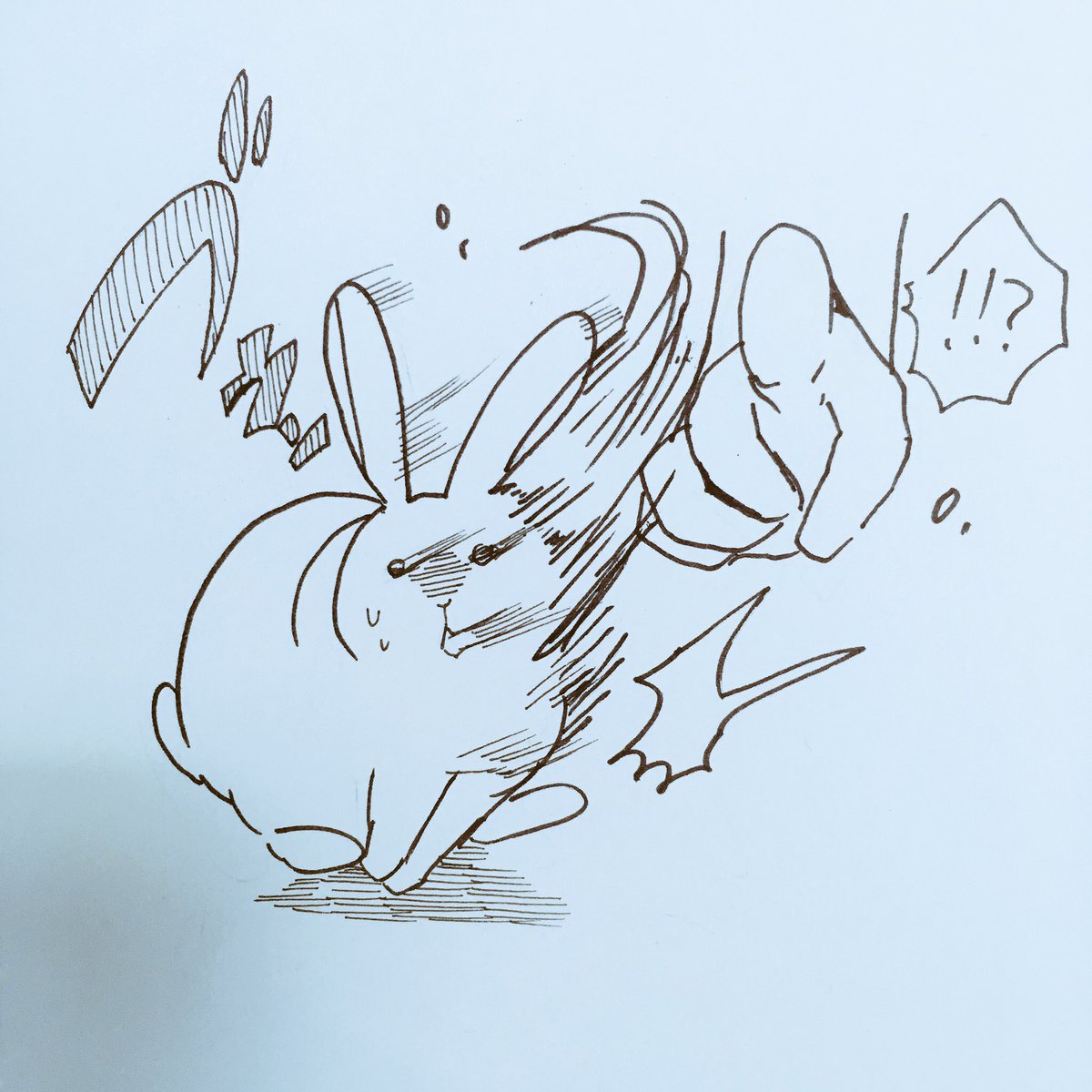家でうさぎを飼っていますがなかなか心のうちが顔にでてて面白いです。 