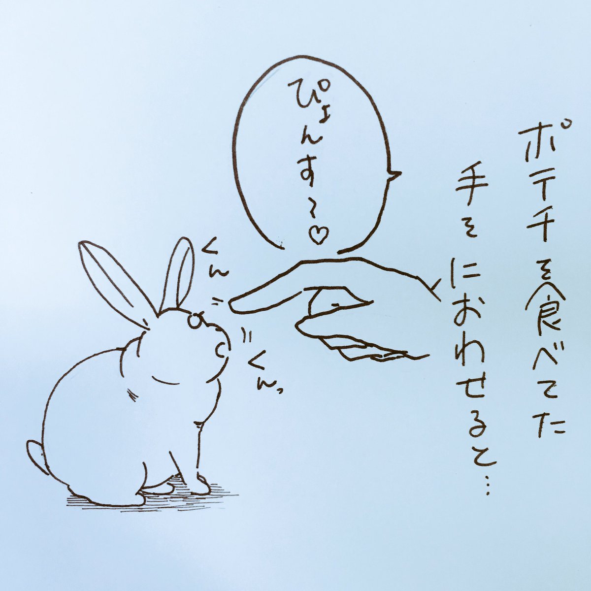 家でうさぎを飼っていますがなかなか心のうちが顔にでてて面白いです。 