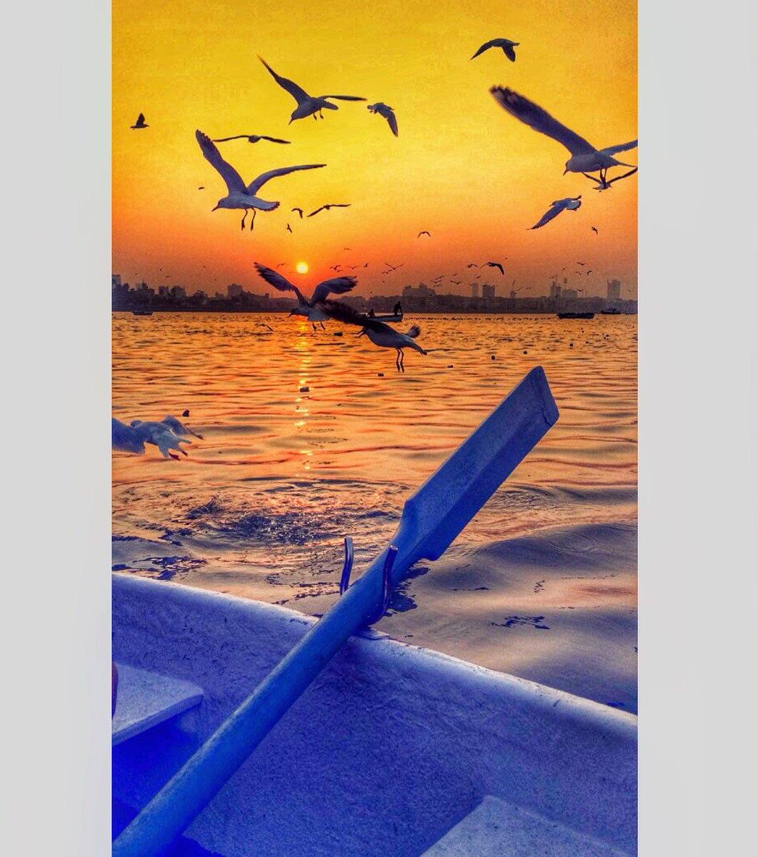 Themelbaycorner's tweet photo. Breathtaking view from a perfect vantage. #themelbaycorner #mumbai #beautifulday #beautiful #sunrise #travelphotography #travelblogger #photooftheday #picoftheday #love #instagood #instalove #traveldiary #sun #scenic #photography #landscape #igers #igmumbai #ig_shutterbugs https://t.co/kweHvzWJX8