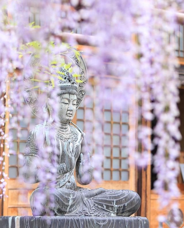 BrahmaKumarisUK's tweet image. #Time can not be controlled, we can only manage ourselves. When we begin to work smarter, we will begin to make the most and get the best out of our time &amp;amp; lives. #WeekendWisdom #BankHolidayWeekend